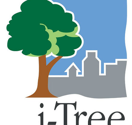 i-Tree logo