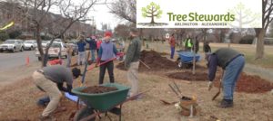 a picture of people planting trees with the Tree Stewards logo in the top right corner