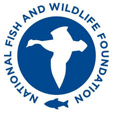 National Fish and Wildlife Foundation (NFWF) logo
