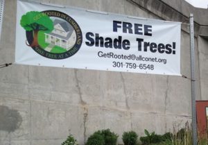 a picture of a banner for Get Rooted in Cumberland
