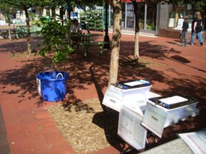 a picture of a sign up booth for tree planting activities