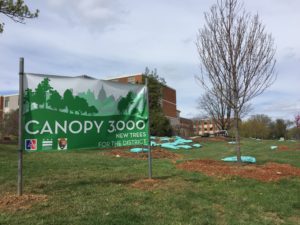 a picture of a banner for Canopy 3,000 project