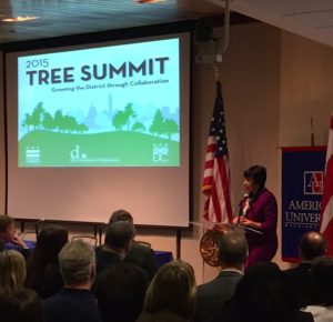 a picture of a presenter speaking during the 2015 tree summit