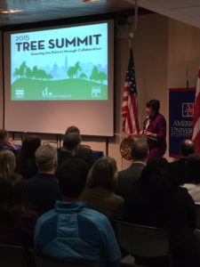 a picture of a presenter speaking during the 2015 tree summit