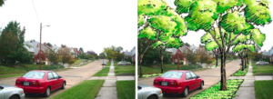 two pictures: one of a street and the other of the same street with additional drawings of where trees could be planted along the street