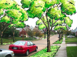 a picture of a street with drawings of where potential trees could be planted along the street