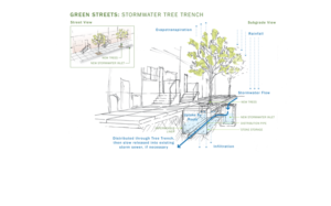 a drawing of a stormwater tree trench