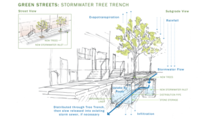 a drawing of a stormwater tree trench