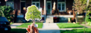 a picture of someone holding a cutout drawing of a tree infront of a house where a tree could be planted