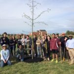picture of volunteers planting a tree on Arbor Day
