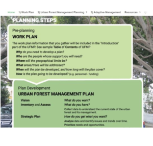 screen shot of urban forest mangement planning steps