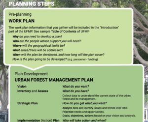 steps listed in developing a urban forestry management plan