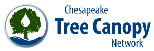 Chesapeake Tree Canopy Network