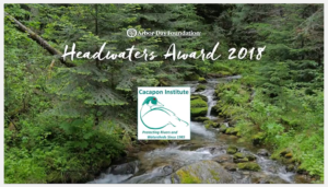Mountain stream surrounded by forest with words Headwaters Award 2018 and Cacapon Institute logo