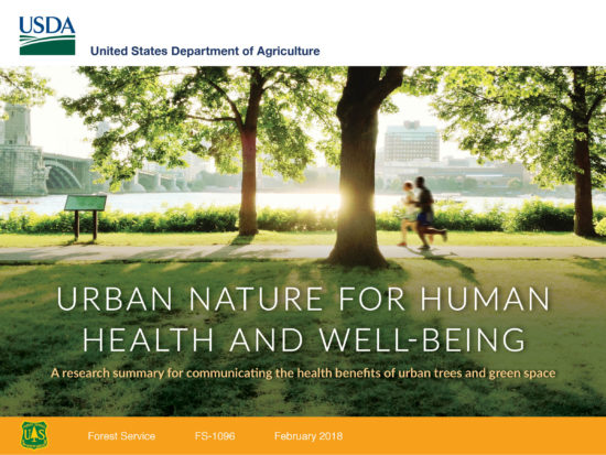 Report cover showing two people jogging in a park under large trees with title 