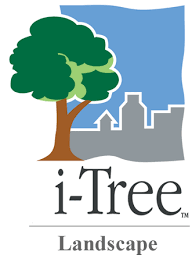 Graphic with trees, city and text "i-Tree Landscape"