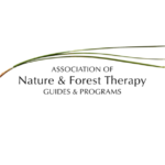Association of Nature & Forest Therapy logo