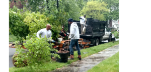 Workers performing maintenance on trees in residential neighborhood