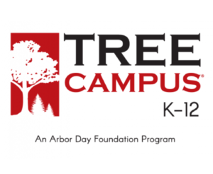 Tree Campus k through 12 logo
