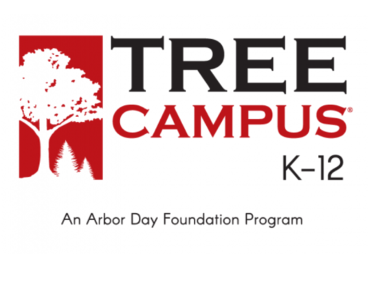 Tree Campus k through 12 logo