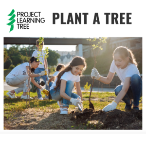PLT logo with children planting trees