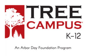 Tree Campus K through 12 logo.