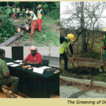 Collage of urban tree maintenance workers