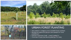 Powerpoint slide with three examples of the urban forest planting best management practice.