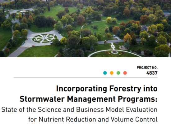 Report cover Incorporarting Forestry into Stormwater Management Programs