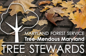 Tree graphic logo with text Maryland Forest Service Tree-Mendous Maryland Tree Stewards