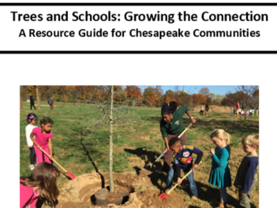 Report cover with photo of kids planting a tree