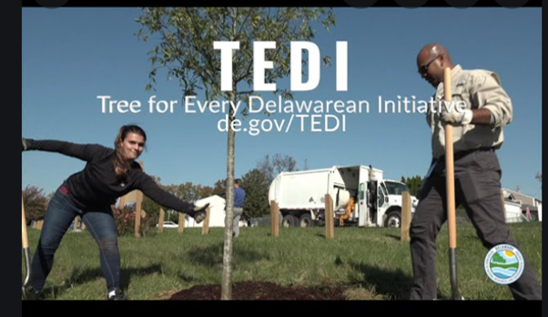 Two people beside newly planted trees with words TEDI Tree for Every Delewarean Initative