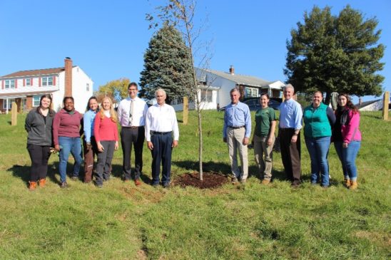 Group of 11 people standing around newly planted tree.