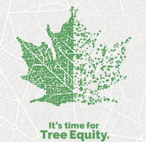 Leaf graphic showing high canopy vs low canopy, words It's time for Tree Equity