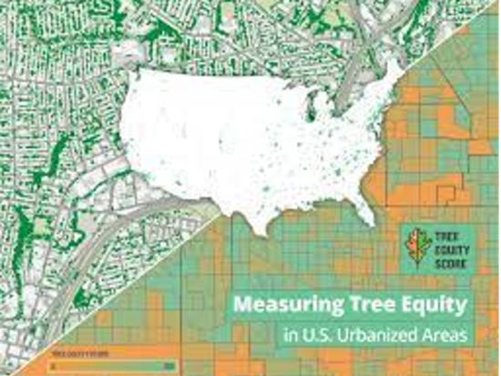 National map showing census blocks color coded by tree equity scores