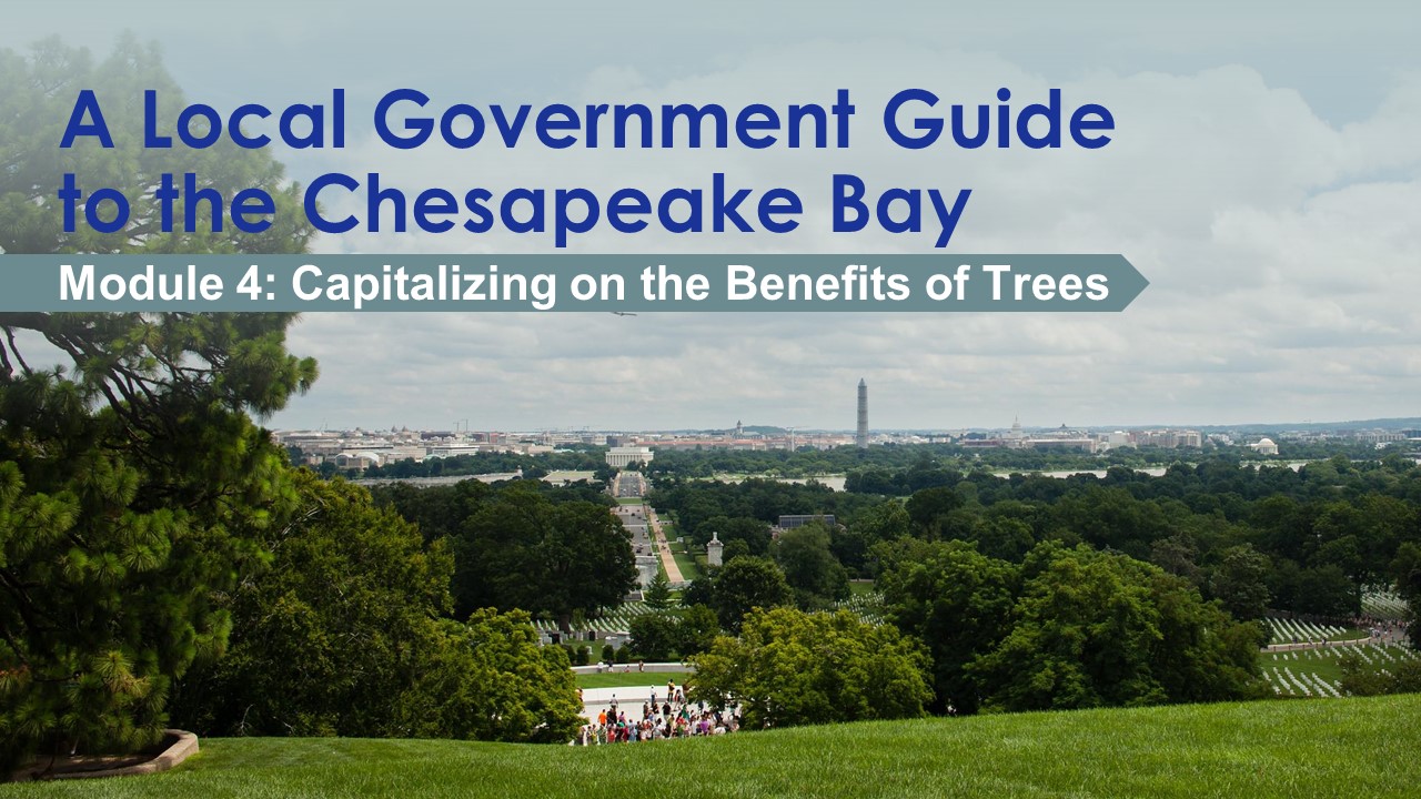 A Local Government Guide to the Chesapeake Bay