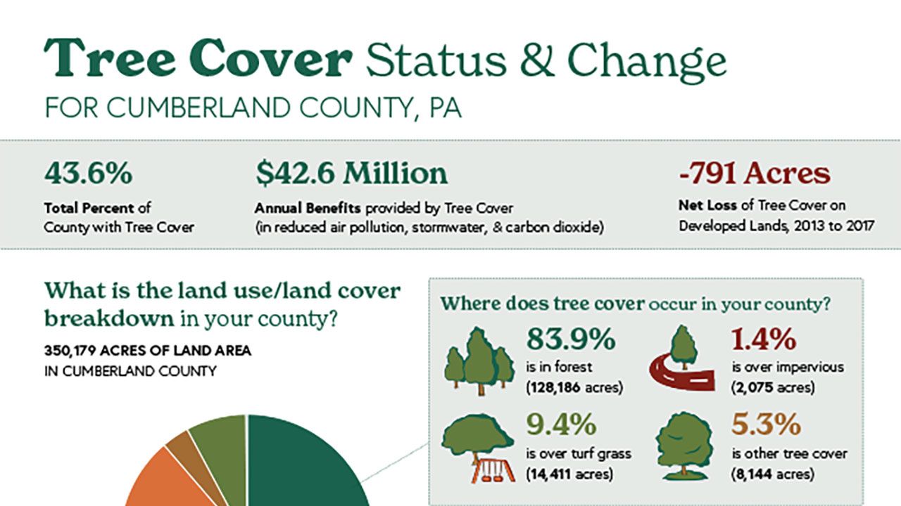 Tree Cover Status & Change